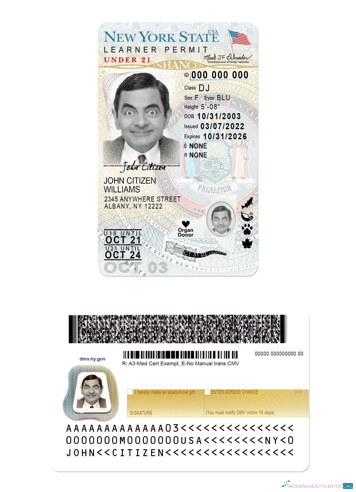 download USA New York driving license under 21 (version 2)